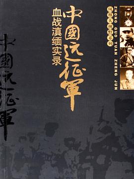 中國遠(yuǎn)征軍(全集)