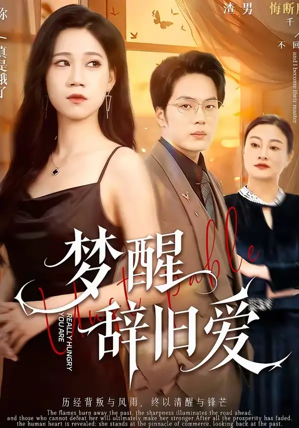 夢(mèng)醒辭舊愛(ài)(全集)